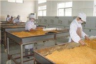 精選肉松批發(fā) 黃金松、原味、辣味、雞肉松一站式供應(yīng)，量大優(yōu)惠包郵
