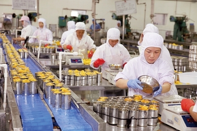 淮北貝寶食品全力投入黃桃罐頭生產(chǎn)，保障市場(chǎng)供應(yīng)與品質(zhì)